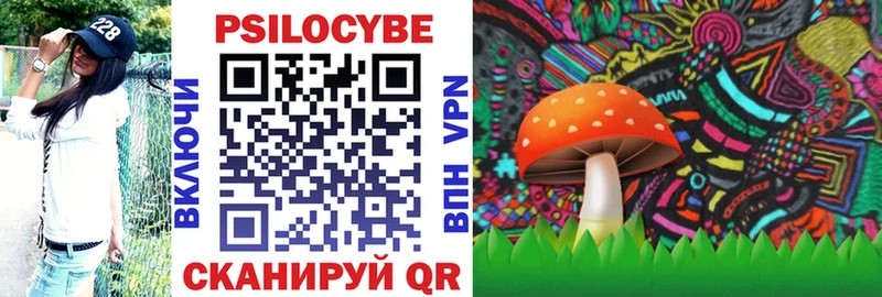 Псилоцибиновые грибы мицелий  Моршанск 